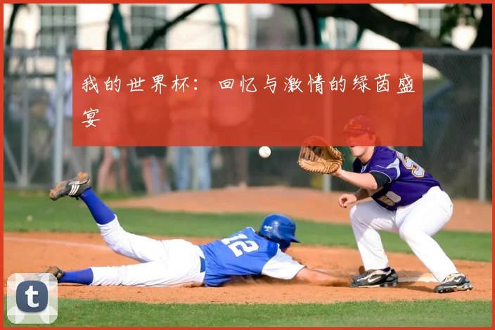 我的世界杯:回忆与激情的绿茵盛宴