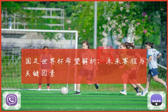 国足世界杯希望解析:未来赛程与关键因素