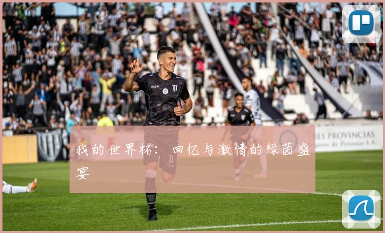 我的世界杯:回忆与激情的绿茵盛宴